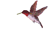 humrt